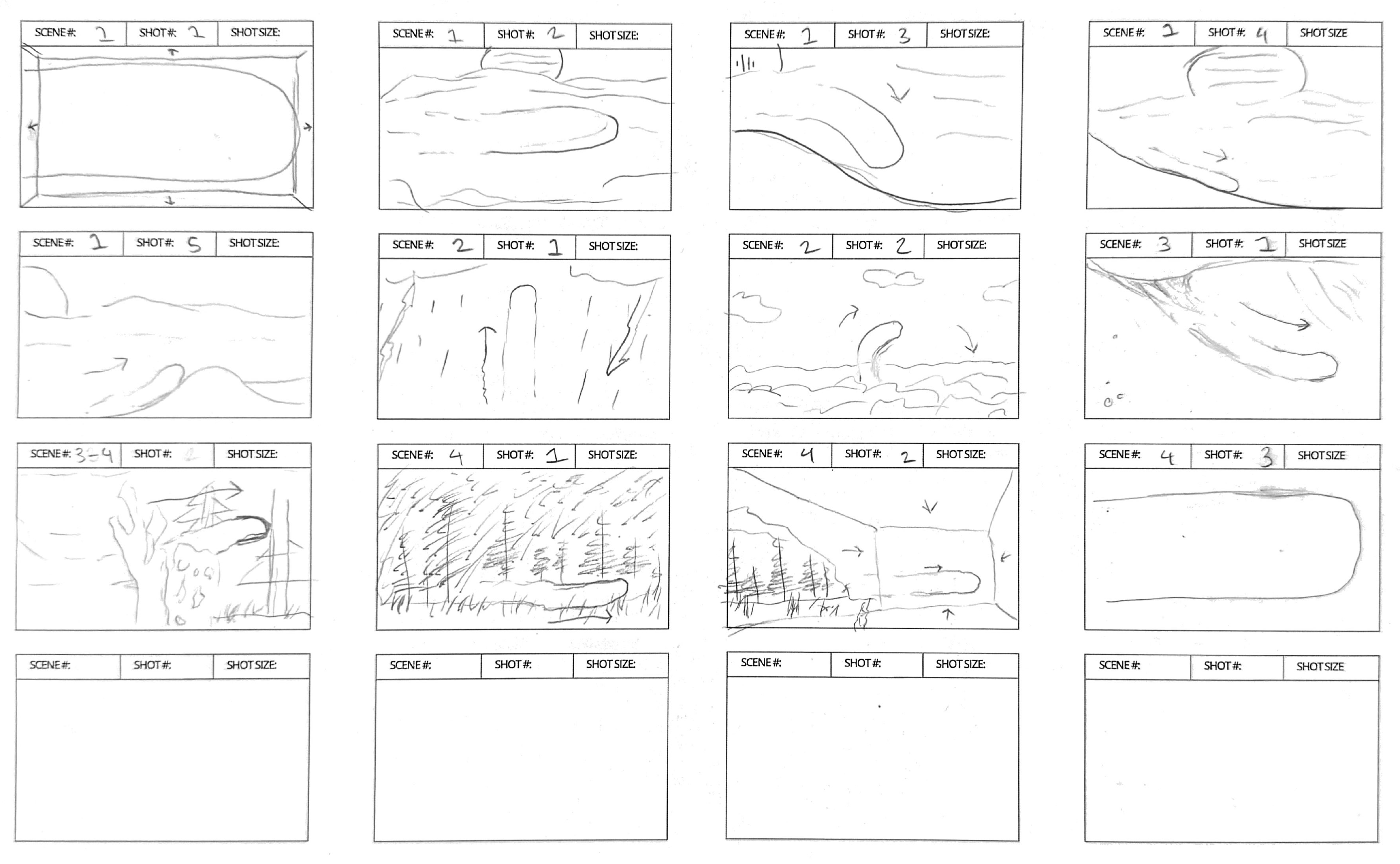 Abstracted Nature Storyboard